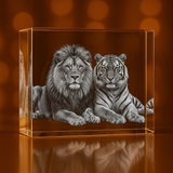 XXL Rectangle 3D Pet Crystal Photo Gift