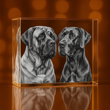 XXL Rectangle 3D Pet Crystal Photo Gift