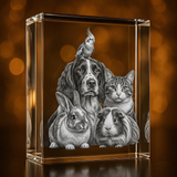 XL Rectangle 3D Pet Crystal Photo Gift