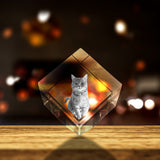 Pet Personalized 3D Crystal - Customizable Sizes & Shapes A&B Crystal Collection