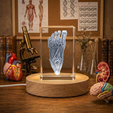 Foot Trophy Award 3D Engraved Crystal — Made in Canada - Custom Award From A&B Crystal Collection
