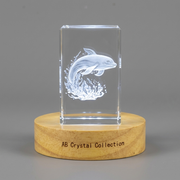 Guérison 3D Engraved Crystal Gift