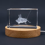 Whimsical Grasshopper Crystal Trophy Award Recognition | Handcrafted Insect Sculpture with LED Base