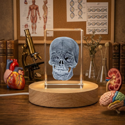 Human Skull Trophy Award Recognition 3D Engraved Crystal Decor for Medical Professionals