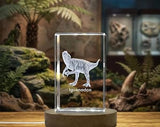 Iguanodon Dinosaur 3D Gravure Crystal 3D Crystal Gravé Crystal / Gift / Decor / Collectible / Souvenir