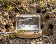 Mining Bee Crystal Trophy Award Recognition | Eco-Friendly Engraved Nature Gift with LED Base