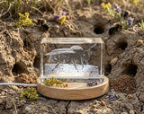 Mining Bee Crystal Trophy Award Recognition | Eco-Friendly Engraved Nature Gift with LED Base - Custom Award From A&B Crystal Collection
