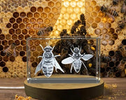 3D Engraved Crystal Trophy Apis Mellifera Bee Gift with LED Base - Nature Lovers
