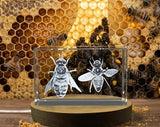 3D Engraved Crystal Trophy Apis Mellifera Bee Gift with LED Base - Nature Lovers