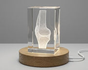 Articulations art | Garde-crisstal gravé 3D | Cadeau de médecin
