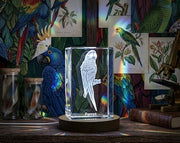 3D Engraved Crystal Parrot Trophy Award Recognition Keepsake with Free LED Base - Made in Canada