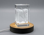 Follicule de cheveux | Garde-crisstal gravé 3D | Cadeau de médecin