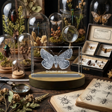 Grizzled Skipper Butterfly 3D Crystal Trophy Award - Nature Recognition Gift with LED Base - Custom Award From A&B Crystal Collection