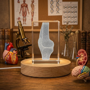 Recognition Joints Art 3D-Engraved Crystal Keepsake Trophy - Luxurious Home Decor Gift