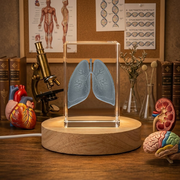 Recognition Lungs 3D Engraved Crystal Trophy Award | Custom Medical Keepsake with LED Base Light