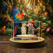 Vivacious Crystal Macaw Trophy Award - Stunning Miniature Recognition Sculpture with LED Base
