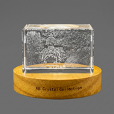 3D Crystal Sculpture of Italian Park Monsters Crystal Statue - Custom Award From A&B Crystal Collection