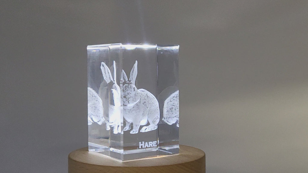 Graceful Hare Crystal Carvings