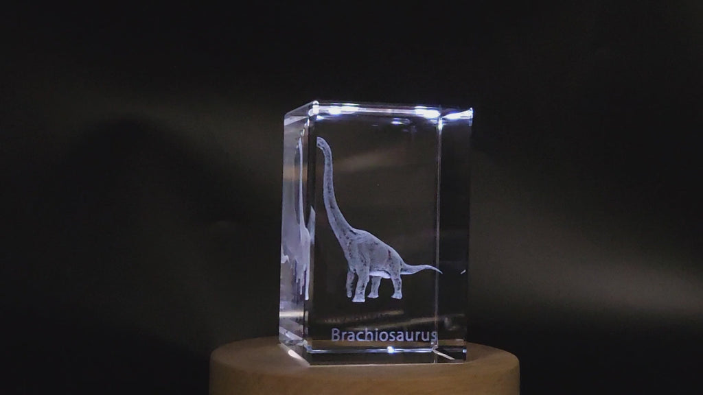 Brachiosaurus | Dinosaurs 3D Engraved Crystal