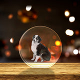 Pet Personalized 3D Crystal - Customizable Sizes & Shapes A&B Crystal Collection