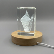 Larynx-Art | 3D-Grestal-Geensake | Cadeau de médecin