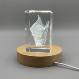 Larynx-Art | 3D-Grestal-Geensake | Cadeau de médecin