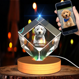 Medium Diamond 3D Pet Crystal Photo Gift