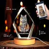 Large Iceberg 3D Pet Crystal Photo Gift