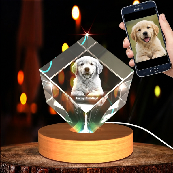 Medium Diamond 3D Pet Crystal Photo Gift - Custom Award From A&B Crystal Collection