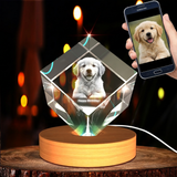 Medium Diamond 3D Pet Crystal Photo Gift