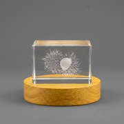 Rambutan Fruit 3D Engraved Crystal Decor Gift