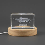 Cricket Trophy Award 3D Engraved Crystal — Made in Canada