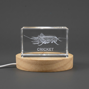 3D Engraved Crystal Cricket Trophy Award - Wildlife Recognition Gift with LED Base Light