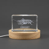 Cricket Trophy Award 3D Engraved Crystal — Made in Canada - Custom Award From A&B Crystal Collection