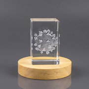 3D Engraved Crystal HIV Germ