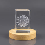 Hiv Germ — 3D laser-engraved crystal keepsake, Made in Canada
