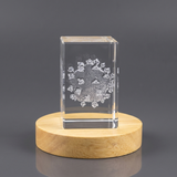 3D Engraved Crystal HIV Germ