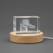 Monkey Brush 3D Engraved Crystal Gift for Plant Lovers