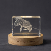3D Sweat Bee Sculpted in Crystal | Unique Gift for Bug Lovers