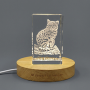 Black-Footed Cat Crystal Sculpture with LED Base Light - Elegant Wildlife Recognition Art