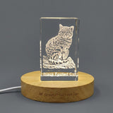 Black-Footed Cat 3D Engraved Crystal Sculpture — Made in Canada