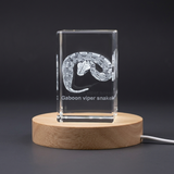 Snakes 3D Engraved Crystal  | Gaboon Viper Snake