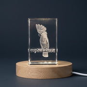 3D 3D Engraved Crystal Alexandrine Parrot Sculpture — Made in Canada