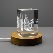 Rate | KeepSake à cristal gravé 3D | Cadeau de médecin