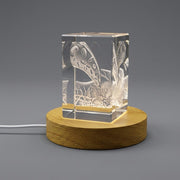 Gallbladder 3D Engraved Crystal Keepsake — Made in Canada