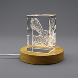 Art de la vésicule biliaire | KeepSake à cristal gravé 3D | Cadeau de médecin