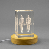 Muscles Art for Doctors & Anatomy Decor - 3D Crystal Keepsake - Custom Award From A&B Crystal Collection