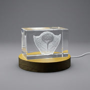Urinary Bladder Recognition Keepsake Trophy 3D Engraved Crystal — Made in Canada