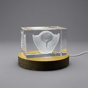 Urinary bladder | KeepSake à cristal gravé 3D | Gift For Urologists | Cadeau de médecin