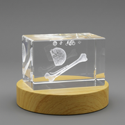 Bone Marrow Art | 3D Engraved Crystal
